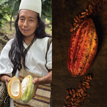 Step 2<br> Flavor Proﬁle