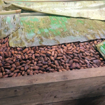 Step 3 <br>Fermentation